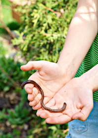 Regenwurm in einer Kinderhand